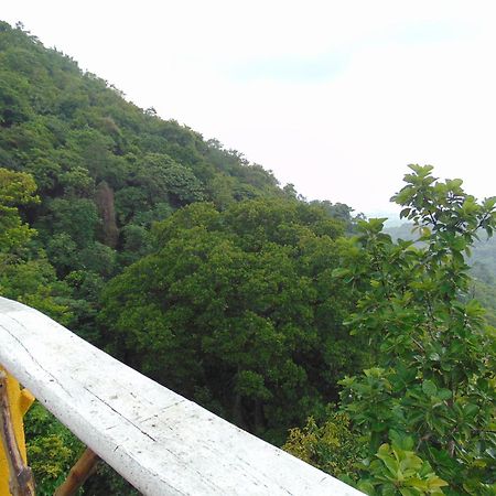 Dunarinka Minca Bagian luar foto