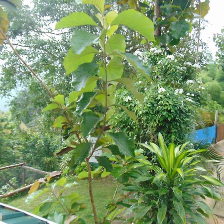 Dunarinka Minca Bagian luar foto