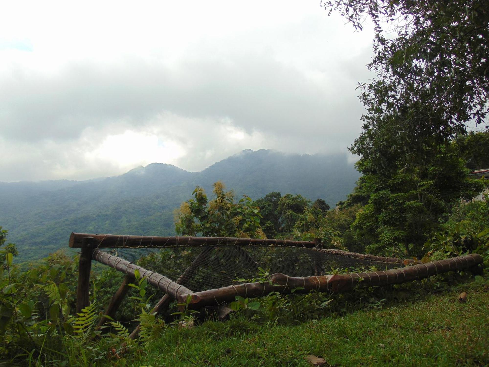 Dunarinka Minca Bagian luar foto