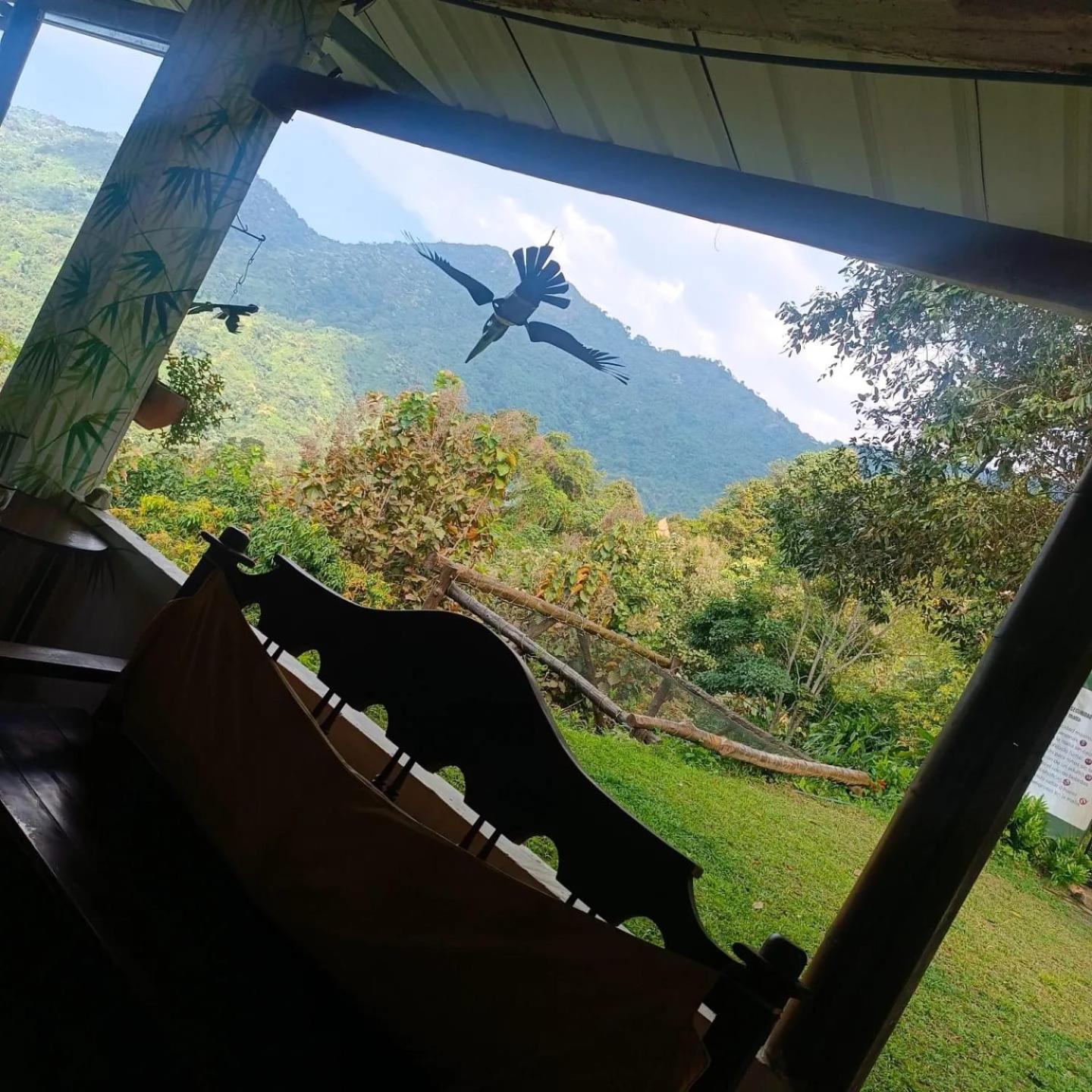 Dunarinka Minca Bagian luar foto