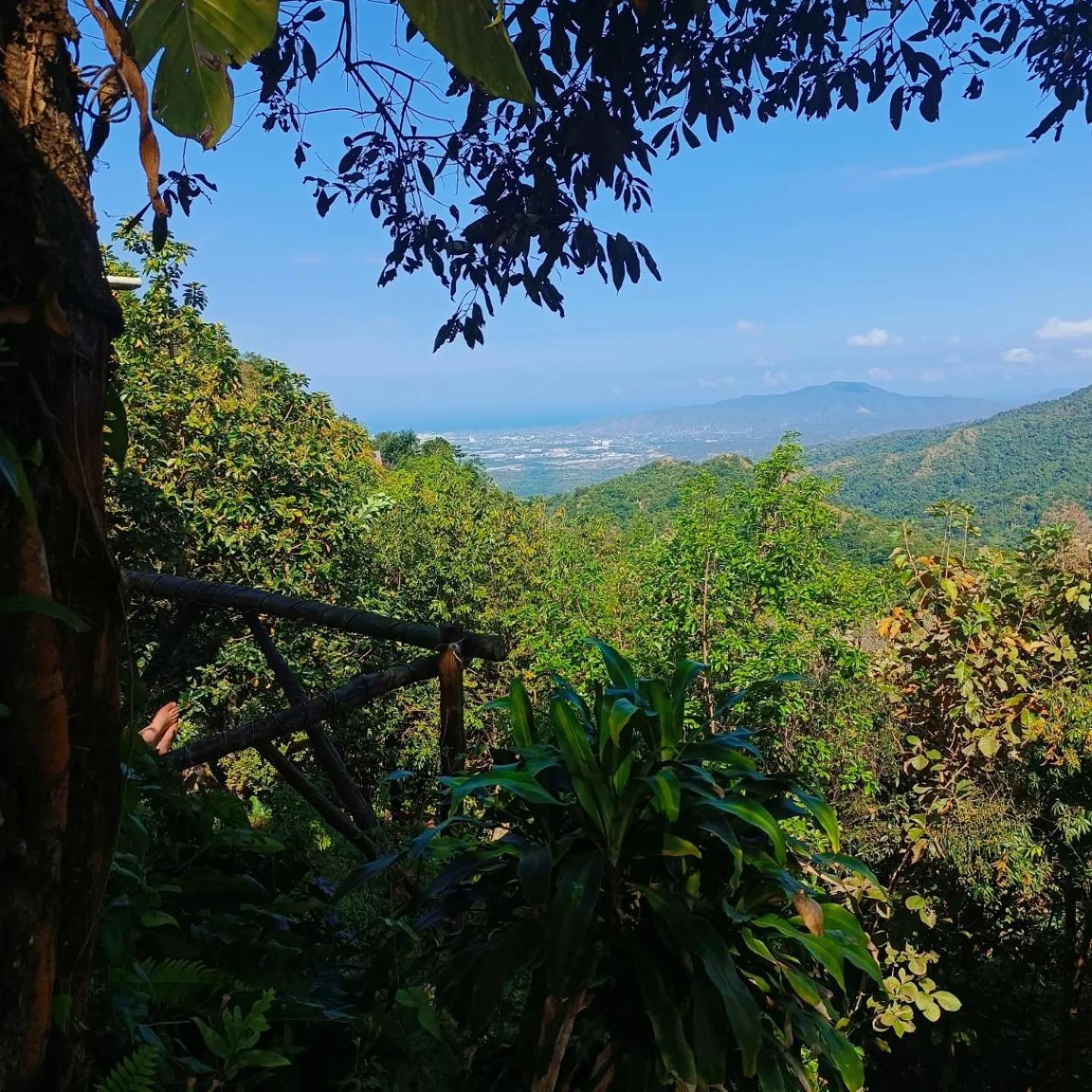 Dunarinka Minca Bagian luar foto