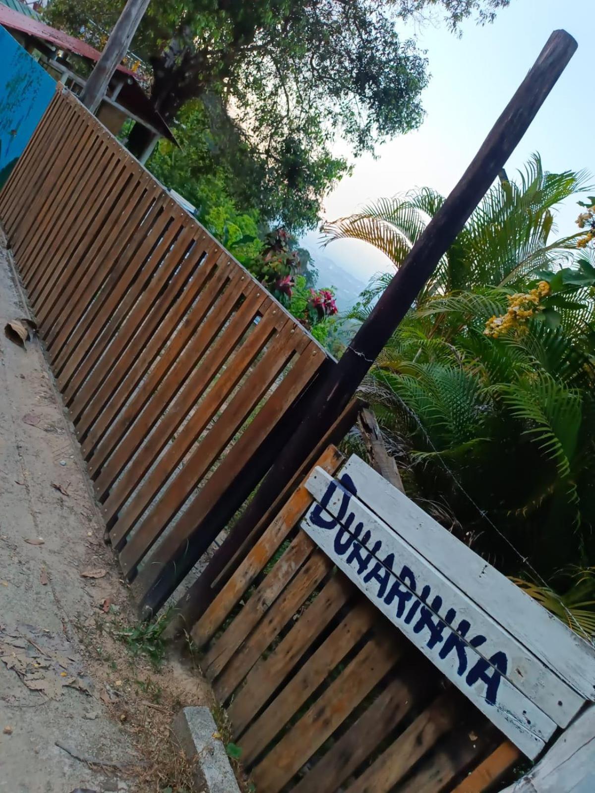 Dunarinka Minca Bagian luar foto